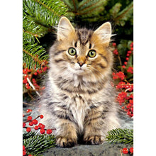 Load image into Gallery viewer, Cute Cat - Full Drill Diamond Painting