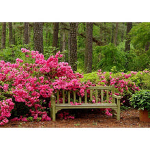 Load image into Gallery viewer, Woods Flowers - Full Drill Diamond Painting