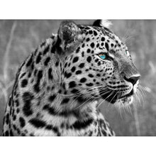 Load image into Gallery viewer, Stare Leopard - Full Drill Diamond Painting