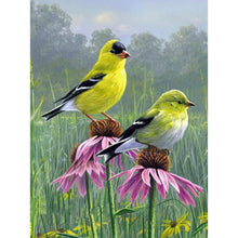 Load image into Gallery viewer, Looking Birds - Full Drill Diamond Painting
