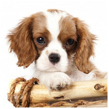 Load image into Gallery viewer, Bored Puppy-Full Drill Diamond Painting