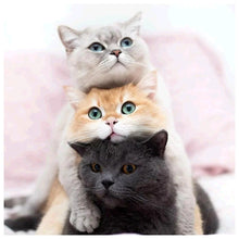 Load image into Gallery viewer, Lovely Cat - Full Drill Diamond Painting