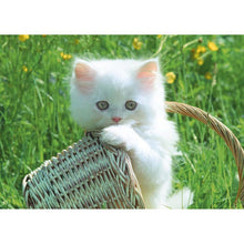 Load image into Gallery viewer, Cat Basket - Full Drill Diamond Painting