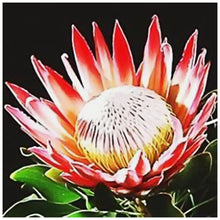 Load image into Gallery viewer, Flower - Full Drill Diamond Painting