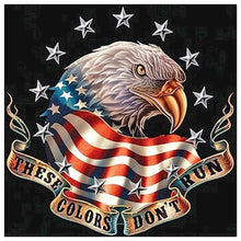 Load image into Gallery viewer, Eagle - Full Drill Diamond Painting - 40x40cm