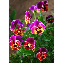 Load image into Gallery viewer, Blossom Flowers - Full Drill Diamond Painting