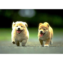 Load image into Gallery viewer, Dog - Full Drill Diamond Painting