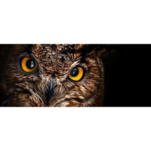 Load image into Gallery viewer, Owl - Full Drill Diamond Painting - 80x30cm