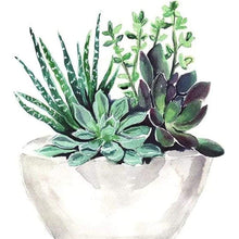 Load image into Gallery viewer, Succulent Plant - Full Drill Diamond Painting