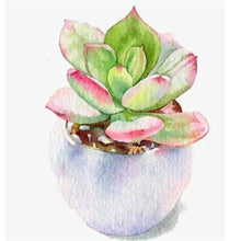 Load image into Gallery viewer, Succulent Plant - Full Drill Diamond Painting