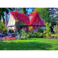 Load image into Gallery viewer, House - Full Drill Diamond Painting