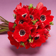 Load image into Gallery viewer, Flowers - Full Drill Diamond Painting