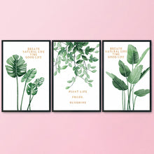 Load image into Gallery viewer, Green Spring Breeze-11CT Stamped 3 Strands Cross Stitch-99x60cm