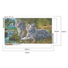 Load image into Gallery viewer, Tiger -Full Round/Square Diamond Painting (70*40cm)