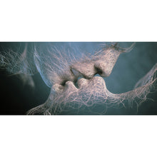 Load image into Gallery viewer, Kiss Me Lightly-Full Drill Diamond Painting-80x40cm