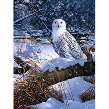 Load image into Gallery viewer, Owl-Full Drill Diamond Painting