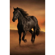 Load image into Gallery viewer, Dark Horse-Full Drill Diamond Painting-45x70cm