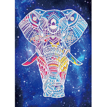 Load image into Gallery viewer, Animal-Partial Special Luminous Diamond Painting-30x40cm
