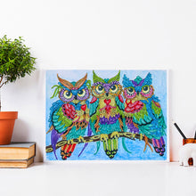 Load image into Gallery viewer, Owl-Special Shaped Crystal Diamond Painting-40*30cm