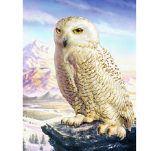 Load image into Gallery viewer, Owl-Full Drill Diamond Painting
