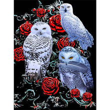 Load image into Gallery viewer, Owl-Full Drill Diamond Painting