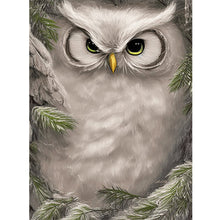 Load image into Gallery viewer, Owl-Full Round Diamond Painting-30x40cm