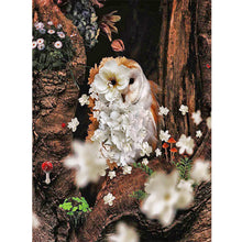 Load image into Gallery viewer, Owl-Full Round Diamond Painting-30x40cm