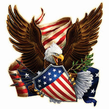 Load image into Gallery viewer, Eagle-Full Round Diamond Painting-30x30cm