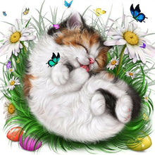 Load image into Gallery viewer, Cat-Full Round Diamond Painting-30x30cm
