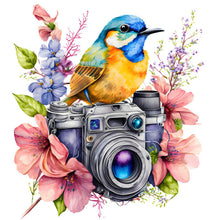 Load image into Gallery viewer, Camera Bird-Full Round Diamond Painting-30x30cm