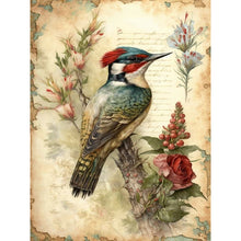 Load image into Gallery viewer, Bird-Full Round Diamond Painting-30x40cm
