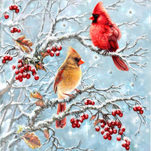 Load image into Gallery viewer, Red Linnet On The Branch-Full Round Diamond Painting-30x30cm
