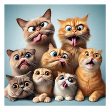 Load image into Gallery viewer, Funny Cat-Full Round Diamond Painting-40x40cm
