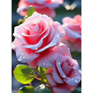 Pink Rose-Full Round Diamond Painting-30x40cm