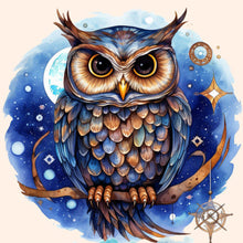Load image into Gallery viewer, Owl-Full Round Diamond Painting-40x40cm
