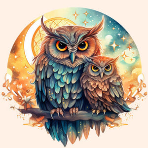 Owl-Full Round Diamond Painting-40x40cm