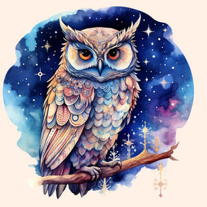 Owl-Full Round Diamond Painting-40x40cm