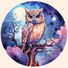 Load image into Gallery viewer, Owl-Full Round Diamond Painting-40x40cm
