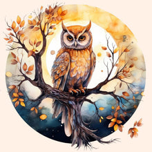 Load image into Gallery viewer, Owl-Full Round Diamond Painting-40x40cm
