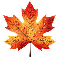 Load image into Gallery viewer, Maple Leaf-Full Round Diamond Painting-40x40cm
