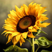 Load image into Gallery viewer, Sunflower-Full Round Diamond Painting-30x30cm
