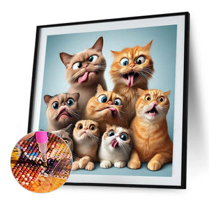 Cat-Full Square Diamond Painting-40x40cm