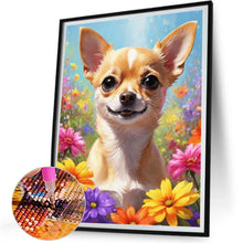 Load image into Gallery viewer, Chihuahua-Full Square Diamond Painting-30x40cm
