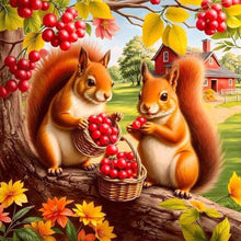 Load image into Gallery viewer, Autumn Squirrel Eating Peanuts-Full Round Diamond Painting-40x40cm
