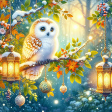 Load image into Gallery viewer, Winter Owl-Full Round Diamond Painting-30x30cm
