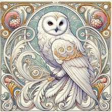 Load image into Gallery viewer, Parrot Owl-Full Round Diamond Painting-40x40cm
