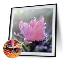 Load image into Gallery viewer, Butterfly-Full Round Diamond Painting-30x30cm
