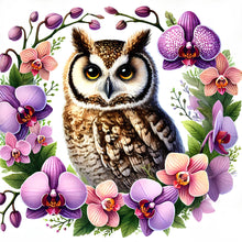 Load image into Gallery viewer, Animal-Full Round Diamond Painting-40x40cm
