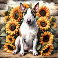 Load image into Gallery viewer, Teddy-Full Round Diamond Painting-40x40cm
