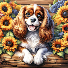 Load image into Gallery viewer, Teddy-Full Round Diamond Painting-40x40cm
